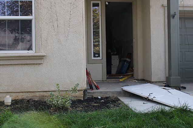 Illegal marijuana grow operations dismantled
